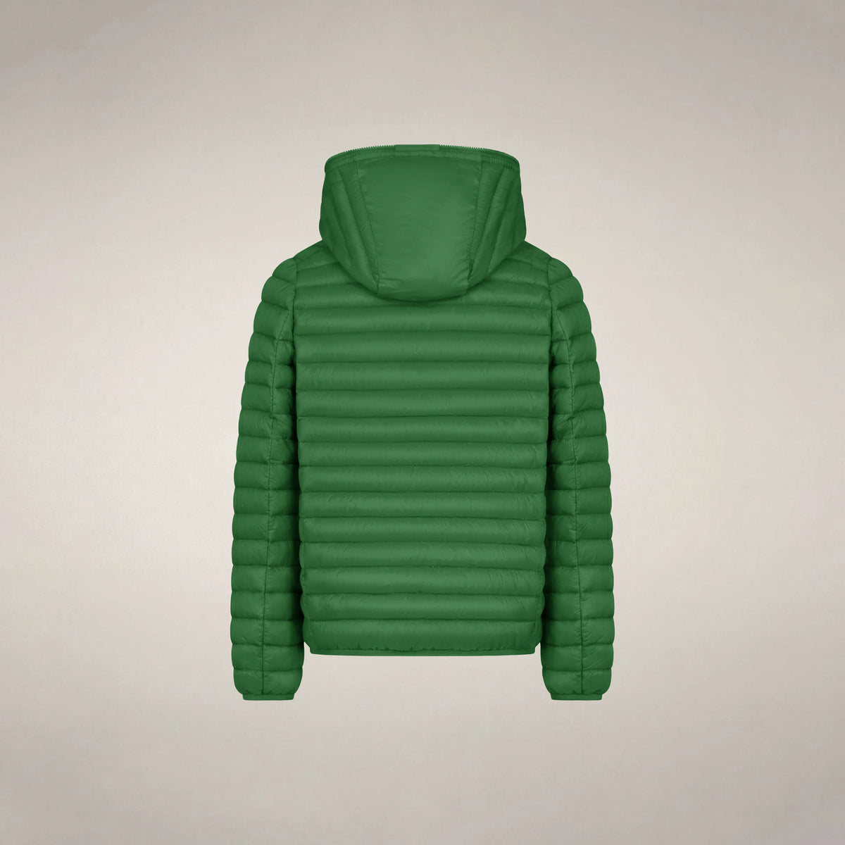 Rainforest Green