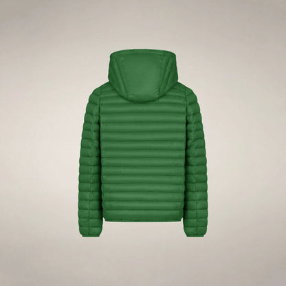 Rainforest Green