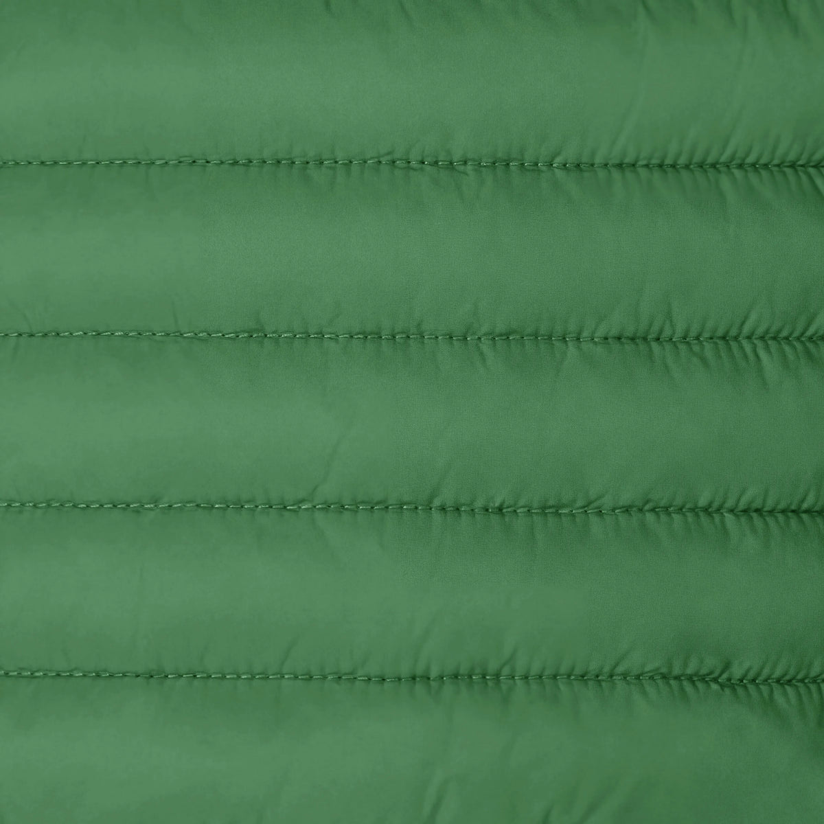 Rainforest Green
