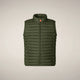 Dusty Olive
