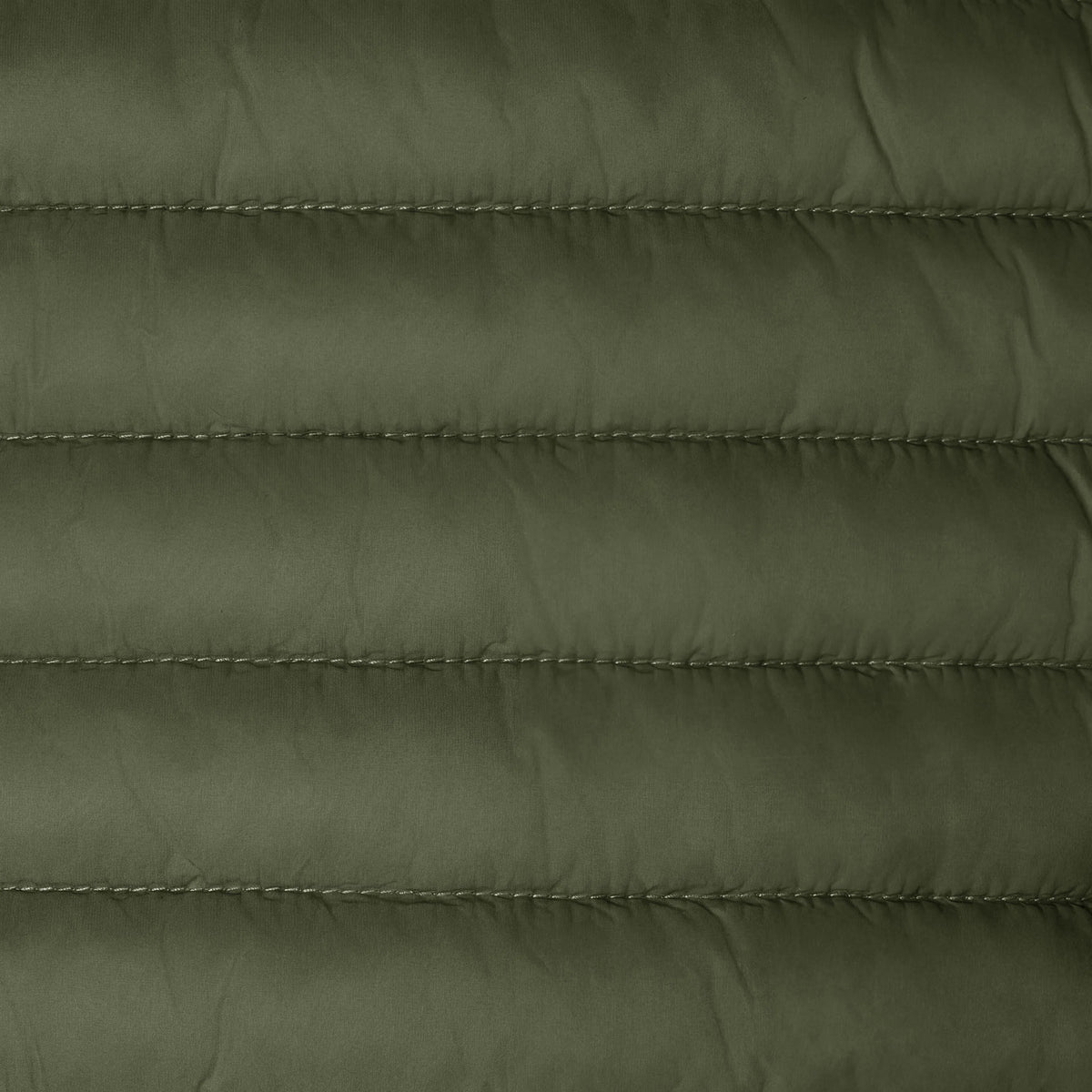 Dusty Olive