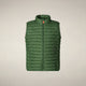 Rainforest Green