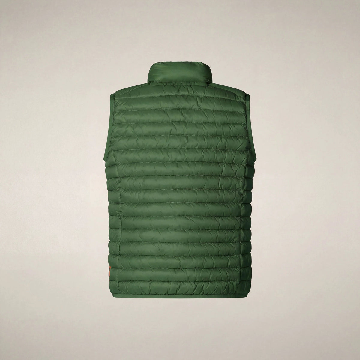 Rainforest Green