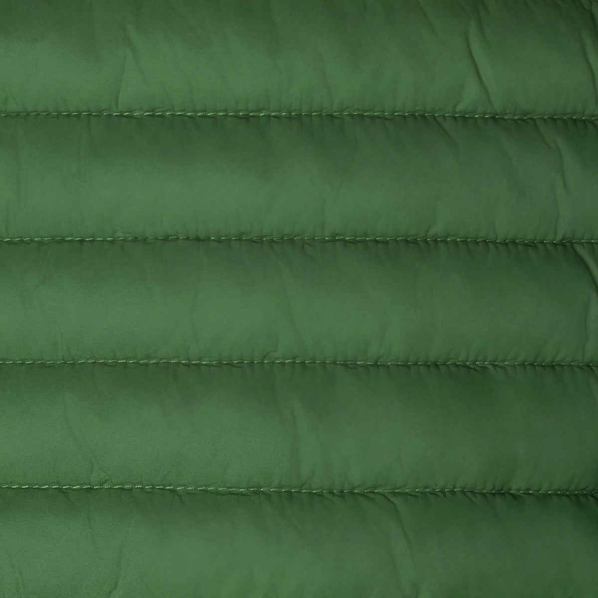 Rainforest Green