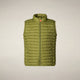 Citron Green