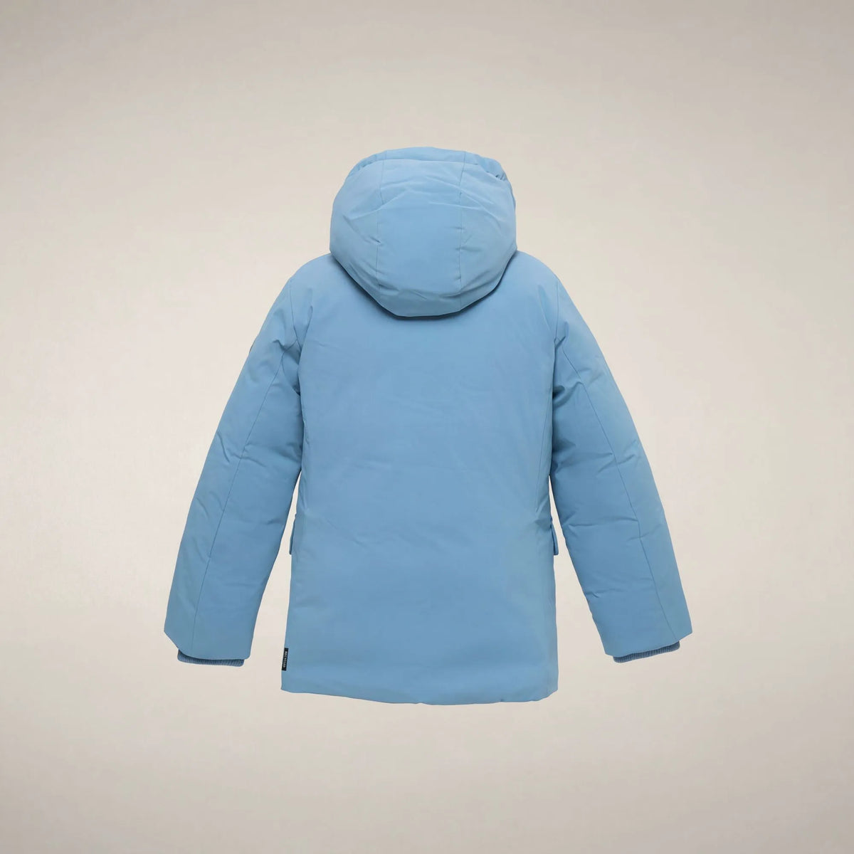 Dolphin Blue