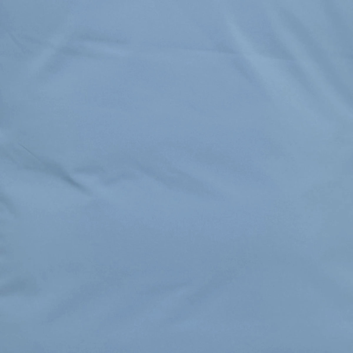 Dolphin Blue